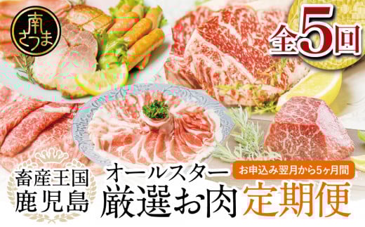 【お試し版】オールスター厳選お肉定期便(全5回) 牛肉 豚肉 すき焼き しゃぶしゃぶ 赤身 焼肉 冷凍 定期便 鹿児島 南さつま市