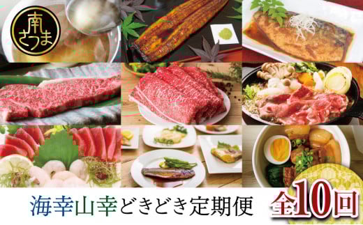 海幸山幸どきどき 定期便(全10回)お肉 お魚 黒豚 牛肉 すき焼き ステーキ 角煮 鰻 蒲焼 刺身用たかえび マグロ 出汁 鰹節 鹿児島黒牛 生姜焼き おかず 煮魚 定期配送