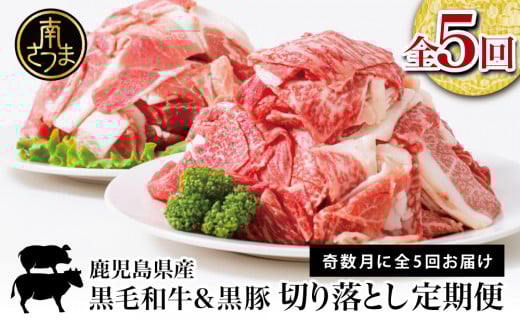 [モリモリ定期便]鹿児島県産 黒毛和牛&黒豚 切落し 定期便 (全5回)切り落とし 牛丼 肉じゃが カレー 炒め物 定期便 冷凍 スターゼン 南さつま市