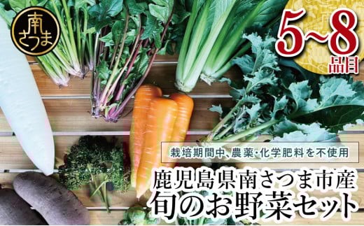 【鹿児島県南さつま市産】福元農園 旬のお野菜 おまかせセット 1箱（5～8品目） 野菜 詰め合わせ 数量限定 鹿児島 南さつま市