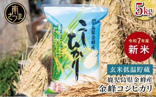 ★令和7年産★ 鹿児島県南さつま市産「金峰コシヒカリ」5kg 【玄米低温貯蔵・白米でお届け】超早場米 早期米 こしひかり 白米 九州産 鹿児島県産 お米 コメ おこめ 5キロ  松木のお米直販 南さつま市