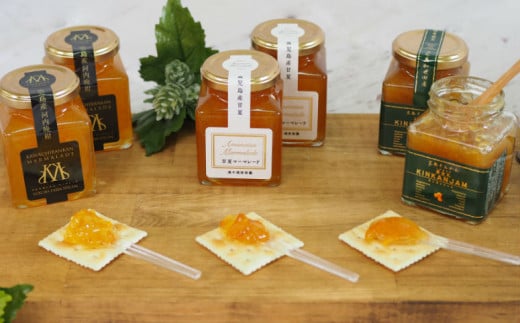 【鹿児島県南さつま市産】マーマレードセット 6本（3種） 金柑 甘夏 河内晩柑 ジャム マーマレード 朝食 パン 清木場果樹園 南さつま市