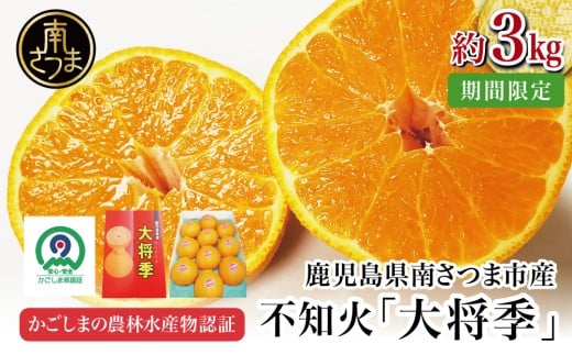【11月末~12月発送】ブランド不知火「大将季」 約3kg入り化粧箱 (8玉~12玉) 南さつま市 金峰町産 国産 果物 フルーツ 旬 柑橘 不知火 しらぬい くだもの ハウス栽培 常温 鹿児島県