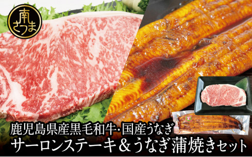 鹿児島県産黒毛和牛サーロインステーキ&国産うなぎ蒲焼き スタミナセット(同梱発送) 牛肉 サーロイン 国産 鰻 贈答 冷凍 スターゼン ギフト 南さつま市