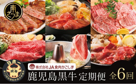 【JA食肉かごしま】鹿児島黒牛 定期便(全6回) かごしまブランド 黒毛和牛 和牛 牛肉 お肉 霜降り 赤身 ステーキ 焼肉 焼き肉 バーベキュー BBQ すき焼き しゃぶしゃぶ 食べ比べ 定期便 JA食肉かごしま 南さつま市