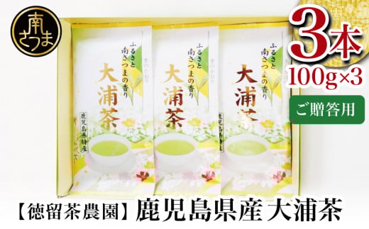 【贈答用】鹿児島県産緑茶 大浦茶 一番茶 3本セット 計300g(100g×3) 鹿児島県産 かごしま お茶 日本茶 緑茶 茶葉 南さつま市 徳留茶農園