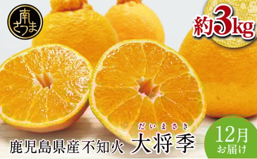【12月発送】数量限定! 鹿児島県産 不知火「大将季」(だいまさき)約3kg 果物 フルーツ 柑橘 みかん しらぬい ブランド 常温 JA 南さつま市