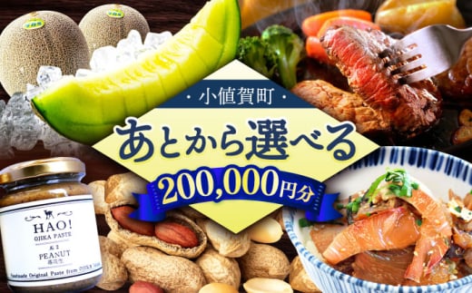 【あとから選べる】小値賀町ふるさとギフト 20万円分　長崎県 小値賀町 [DYZ011]