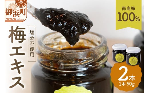 松本農園の梅エキス【数量限定 梅 エキス 梅肉 南高梅 松本農園 三重県 御浜町】