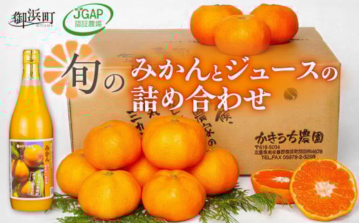 かきうち農園のみかんとジュースの詰め合わせ【果物 フルーツ みかん オレンジ デザート 旬 みかんジュース オレンジジュース セット 詰め合わせ 三重県 御浜町】