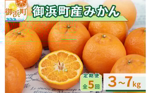 丸安青果の御浜町産みかん（全5回）【果物 フルーツ みかん 定期 定期便 5回 ポンカン 不知火  サンフルーツ ハウス 温州 三重県 御浜町】