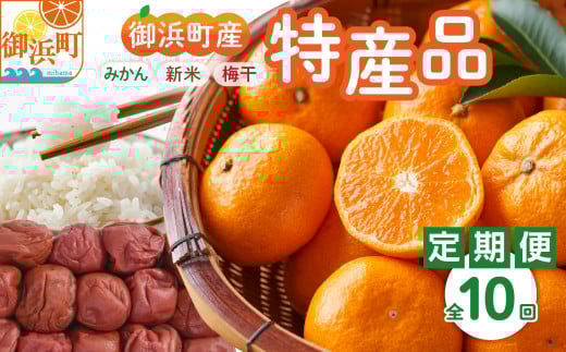 丸安青果の御浜町産特産品(全10回)[定期 定期便 10回 果物 フルーツ みかん 米 お米 梅干し 梅干 三重県 御浜町]