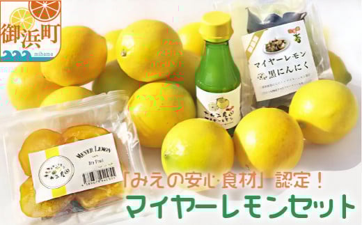 たかみ農園マイヤーレモンセット【希少 国産 レモン マイヤーレモン ドライフルーツ 黒にんにく レモン果汁 セット 詰め合わせ 三重県 御浜町】