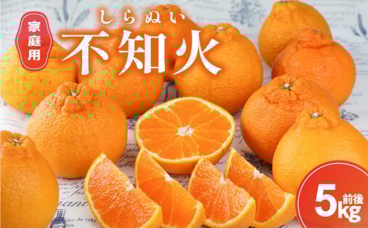 【2026年発送 先行予約品】丸安青果の御浜町産不知火5キロ前後(家庭用）【果物 フルーツ みかん 不知火 しらぬい 5kg 前後 家庭用 三重県 御浜町】