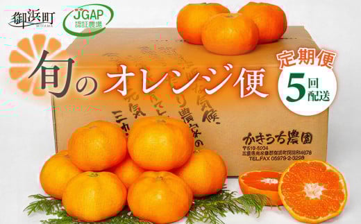 かきうち農園のオレンジ便（全5回）【果物 フルーツ みかん オレンジ デザート 定期便 定期 5回 三重県 御浜町】