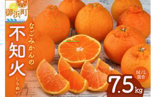 【2026年発送 先行予約品】なごみかんの不知火7.5キロ【数量限定 配送2月から 果物 フルーツ みかん 不知火 しらぬい デザート 7.5kg 三重県 御浜町】