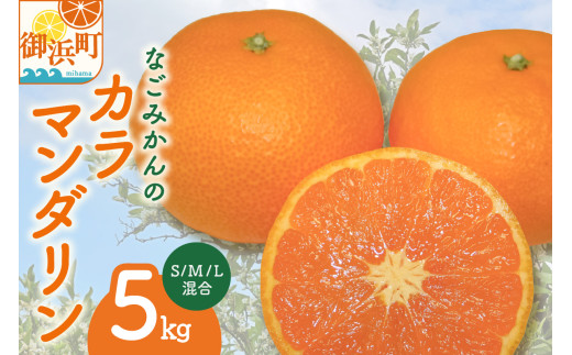 [2026年発送 先行予約品]なごみかんのカラマンダリン5キロ[数量限定 配送3月下旬から 果物 フルーツ みかん カラマンダリン デザート 5kg 三重県 御浜町]