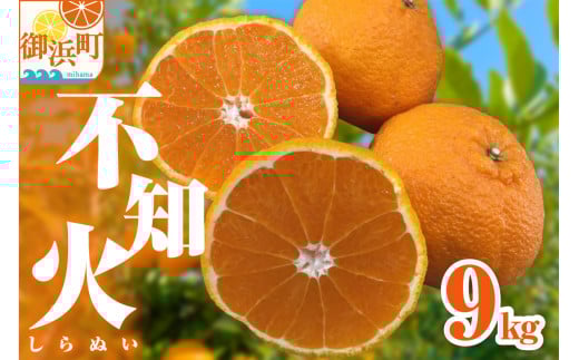 【2026年発送 先行予約品】濃密な甘酸っぱさ!ミカファームの不知火9キロ【数量限定 果物 フルーツ みかん 不知火 しらぬい デザート 9kg 三重県 御浜町】