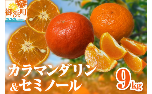 【2026年発送 先行予約品】ミカファームのカラマンダリン&セミノール9キロ【数量限定 果物 フルーツ みかん カラマンダリン セミノール デザート 9kg セット 詰め合わせ 三重県 御浜町】