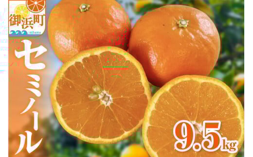 【2026年発送 先行予約品】ジューシーさダントツ!ミカファームのセミノール9.5キロ【数量限定 果物 フルーツ みかん セミノール デザート 9.5kg 三重県 御浜町】