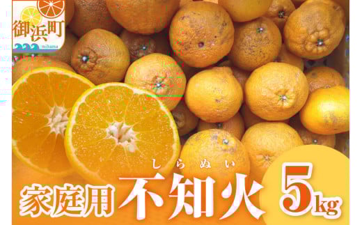 【2026年発送 先行予約品】濃密な甘酸っぱさ!ミカファームの不知火5キロ(家庭用)【数量限定 果物 フルーツ みかん 不知火 しらぬい デザート 5kg 家庭用 三重県 御浜町】