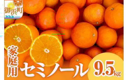 【2026年発送 先行予約品】ジューシーさダントツ!ミカファームのセミノール9.5キロ(家庭用)【数量限定 果物 フルーツ みかん セミノール デザート 9.5kg 家庭用 三重県 御浜町】