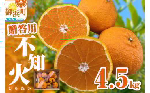【2026年発送 先行予約品】濃密な甘酸っぱさ!ミカファームの不知火4.5キロ(贈答用)【数量限定 果物 フルーツ みかん 不知火 しらぬい デザート 4.5kg 贈答用 贈り物 三重県 御浜町】
