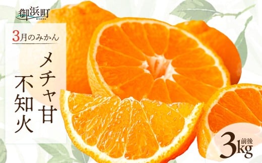 【2026年発送 先行予約品】3月の御浜柑橘　メチャ甘不知火（3キロ前後）【先行予約 期間限定 果物 フルーツ みかん 不知火 しらぬい 3kg前後 三重県 御浜町】
