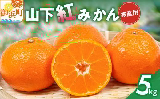 辻本農園の山下紅みかん(家庭用)5キロ【期間限定 数量限定 キズあり まぼろし 幻 高級 甘い 果物 ミカン 柑橘 フルーツ 家庭用 三重県 御浜町】