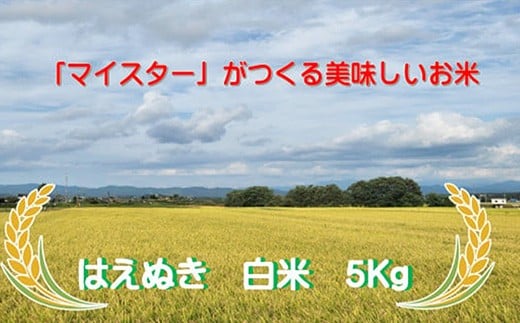 マイスターがつくる　はえぬき　白米 5kg（飯豊町産）(R7年産）