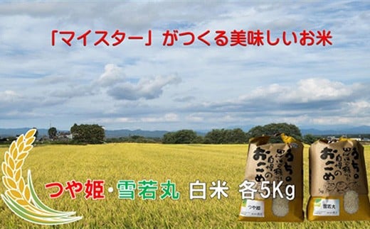 マイスターがつくる　つや姫・雪若丸 食べ比べセット（飯豊町産）(R7年産）