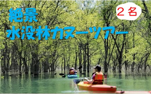 絶景 水没林カヌーツアー（2名様）癒しの自然満喫アクティビティ【フォトジェニックスポット】