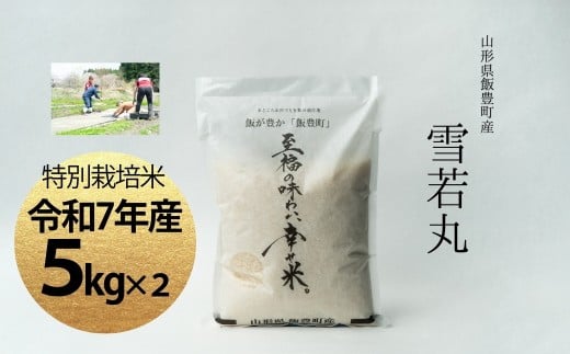 【令和7年産】至福の味わい、　幸せ米。「雪若丸」精米 5kg×2 - 白米 米 ごはん 品種 銘柄 ブランド米 おすすめ 送料無料 山形県 飯豊町