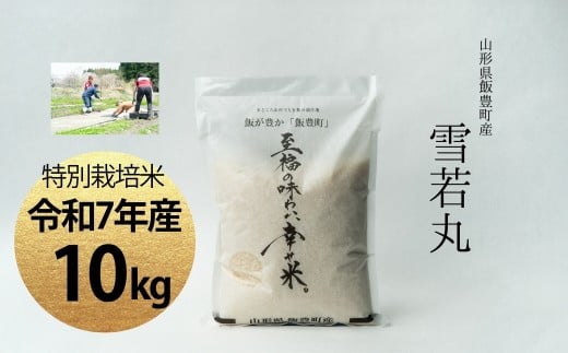 【令和7年産】至福の味わい、　幸せ米。「雪若丸」精米 10Kg - 白米 米 ごはん 品種 銘柄 ブランド米 おすすめ 送料無料 山形県 飯豊町