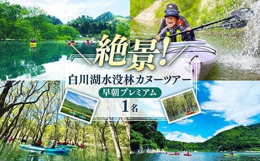 水没林カヌー［早朝プレミアム］（1名様分）- 体験 チケット 自然 カヤック 絶景 白川湖 フォトジェニック 癒し 湖 非日常 山形県 飯豊町