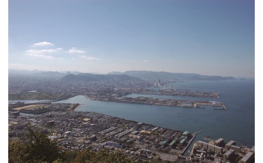 （７）その他市長が必要と認める事業