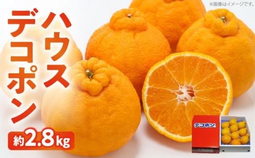 高松産季節の果物＜ハウスデコポン＞約2.8kg【2025年12月中旬～2026年3月中旬配送】