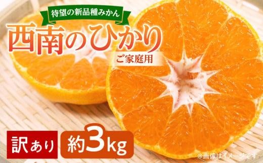 寄附額改定／【訳あり 】みかん 西南のひかり　ご家庭用　約3kg【2024-12月上旬～2025-1月上旬配送】