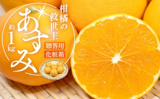柑橘の救世主 贈答用 あすみ 化粧箱 約1kg【2026-2月上旬～2026-3月上旬配送】