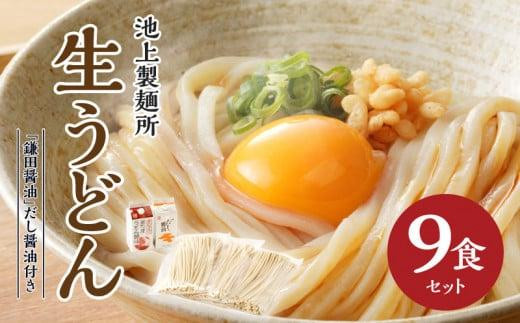 本家 池上製麺所 生うどん9食(鎌田醤油 だし醤油)|うどん 生麵 るみおばあちゃん 釜たまうどん 生醤油 醤油 生うどん 麺 麺類 香川 香川県 高松 讃岐 さぬき