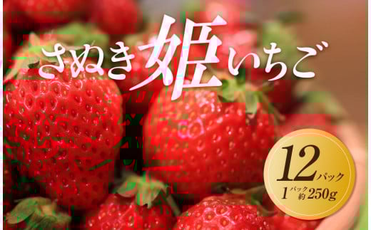 【2026年1月中旬より順次発送】さぬき姫いちご　12パック(1パック約250g)｜果物 くだもの フルーツ イチゴ いちご 苺 さぬきひめ 先行予約 人気 おすすめ ギフト
