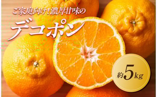 【2026年3月上旬より順次発送】ご家庭向け！濃厚甘味の「不知火(しらぬい)」約5kg｜果物 くだもの フルーツ 柑橘 みかん 不知火  濃厚 甘い ミカン 人気 おすすめ 先行予約 香川 高松
