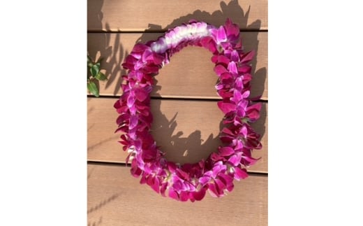 ハワイアンレイ生花(デンファレKuiスタイル)【1643151】