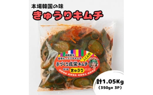 本場韓国の味!全て手作り本格きゅうりキムチ　計1.05kg(350g×3パック)【1467677】