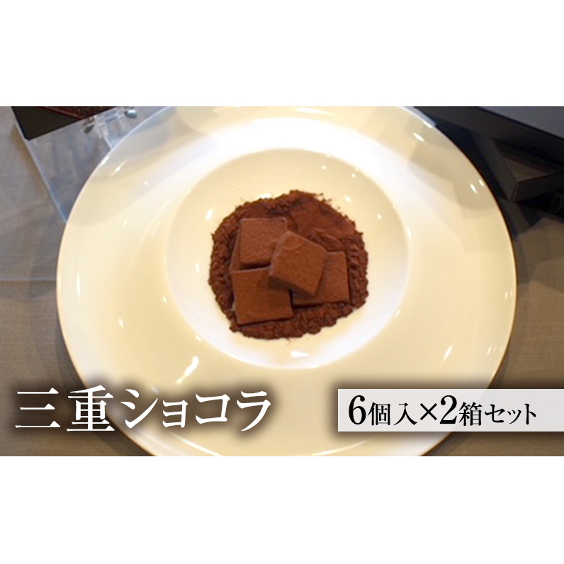 シャンピニオン生ショコラ 2箱セット [ 生チョコレート チョコレート チョコ キノコ 天然オオイチョウタケ スイーツ お菓子 お酒のおとも ご褒美 ] 