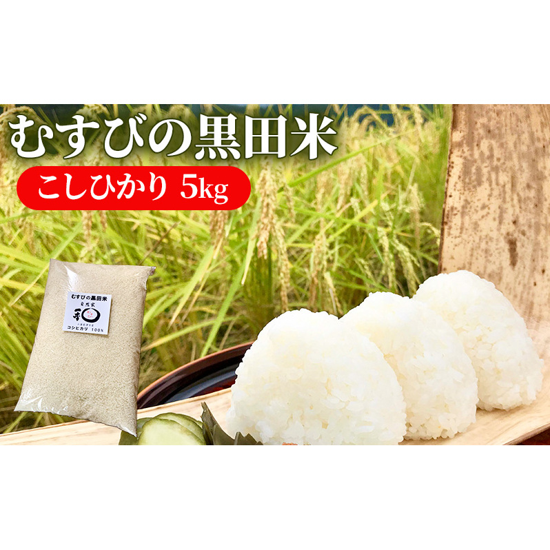 新米 むすびの黒田米 こしひかり 5キロ [ 米 お米 5kg コシヒカリ お弁当 おむすび 冷めても美味しい ]