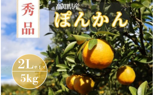 TM003-1 徳村の秀品ぽんかん 2Lサイズ<5kg>国産 東洋町産 訳アリ 甘い コク ジューシー 果肉 高知県 東洋町 四国 お取り寄せ フルーツ 果物 家庭用 自宅用 送料無料