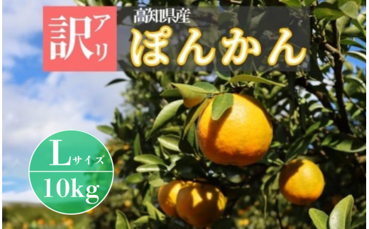 TM004-3 徳村の訳アリぽんかん Lサイズ<10kg>国産 東洋町産 甘い コク ジューシー 果肉 高知県 東洋町 四国 お取り寄せ フルーツ 果物 家庭用 自宅用 送料無料