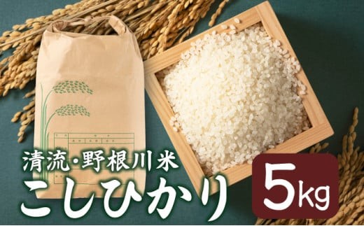 MZ002【8月中旬より発送開始】令和7年産 野根川米5kg こしひかり 米 新米 国産 コメ