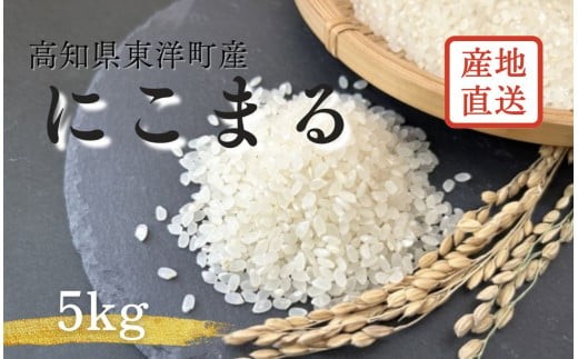 S249-1 <2025年10月発送>令和7年産にこまる <5kg>国産 米 新米 お米 高知県産